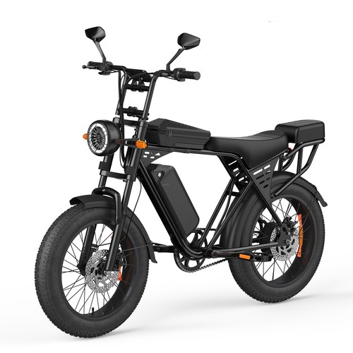 250w electric mountain - electric, fat
