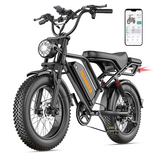 Fat tire bike - fat,