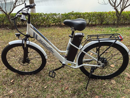 City bike 250w 20ah - e-bike,