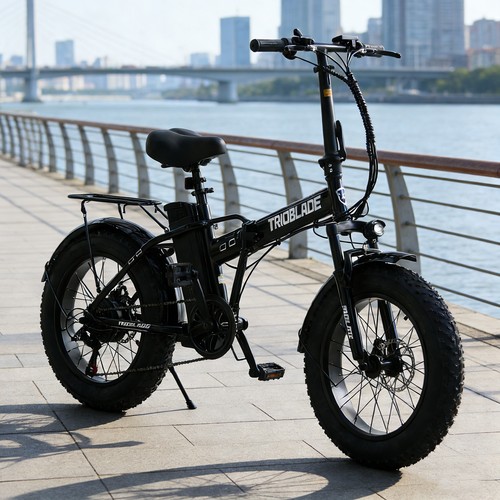 Adults electric bike 20x4 - bike, 20x4.0