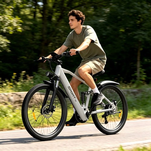 City electric bicycle 250w - city,