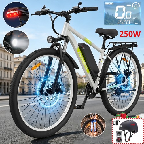 Electric bike adult - adult, 48v