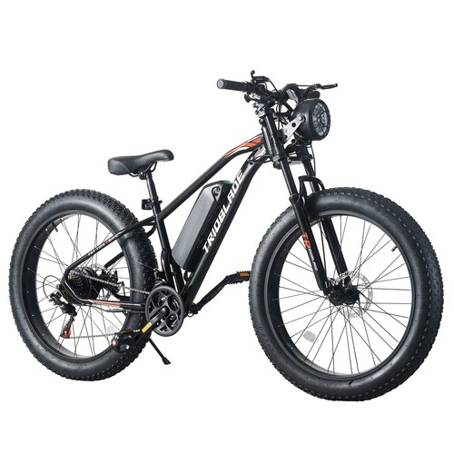 Electric bike adult - 26x4.0, fat